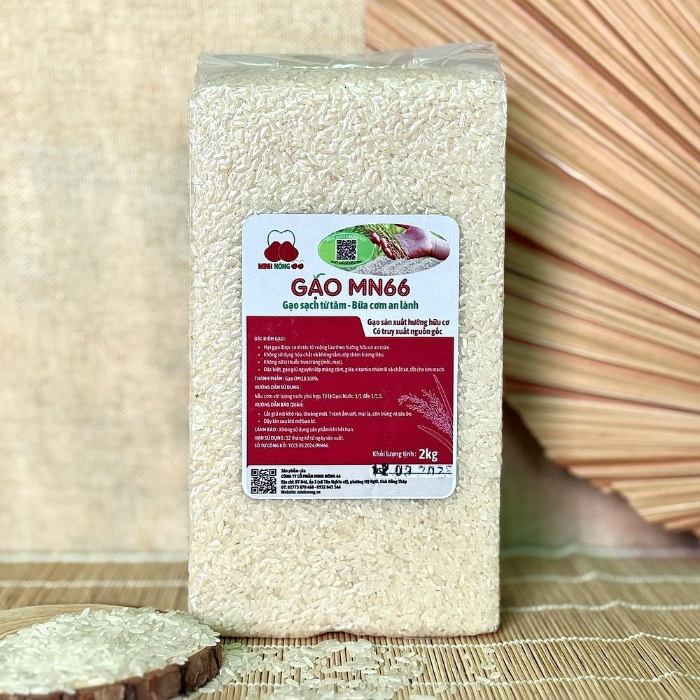 Giới thiệu gạo mn66 – gạo sạch từ tâm, bữa cơm an lành